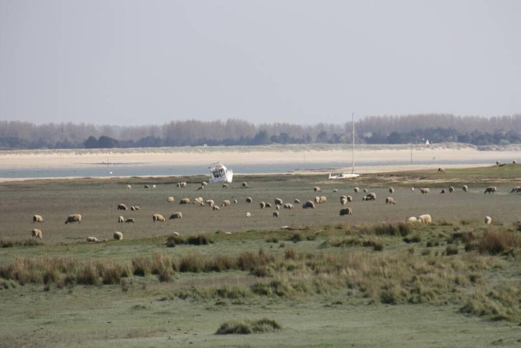 Gite Ouest De La Pointe D'Agon מראה חיצוני תמונה